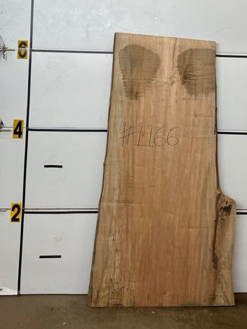 Maple Slab #1166