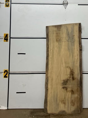 Blackgum Slab #2323