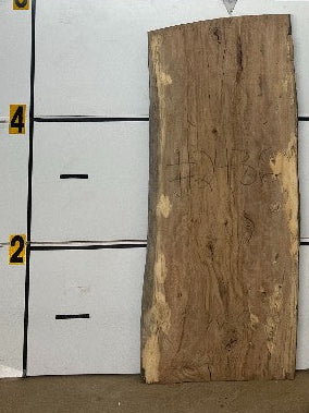 Sweetgum Slab #2436