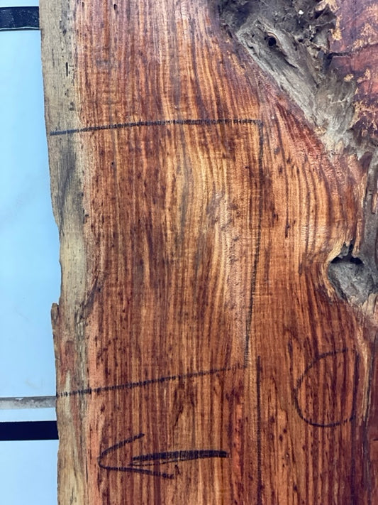 Honey Locust Slab #2441