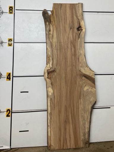 Redgum Slab #2550