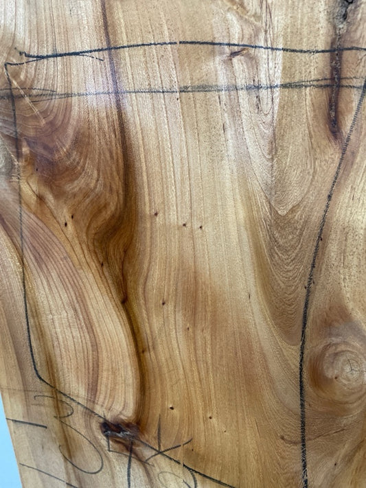 Elm Slab #2904