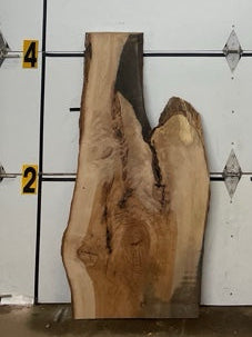 Pecan Slab #2944