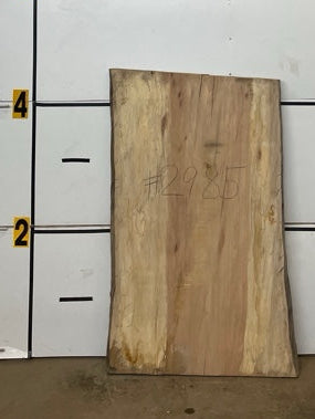 Sycamore Slab #2985