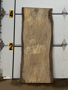Sycamore Slab #2988