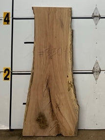 Red Oak Slab #3304