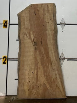Sycamore Slab #1136
