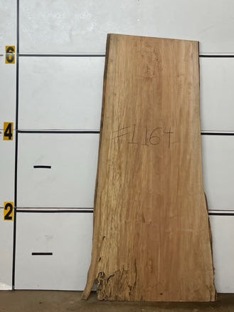 Maple Slab #1164