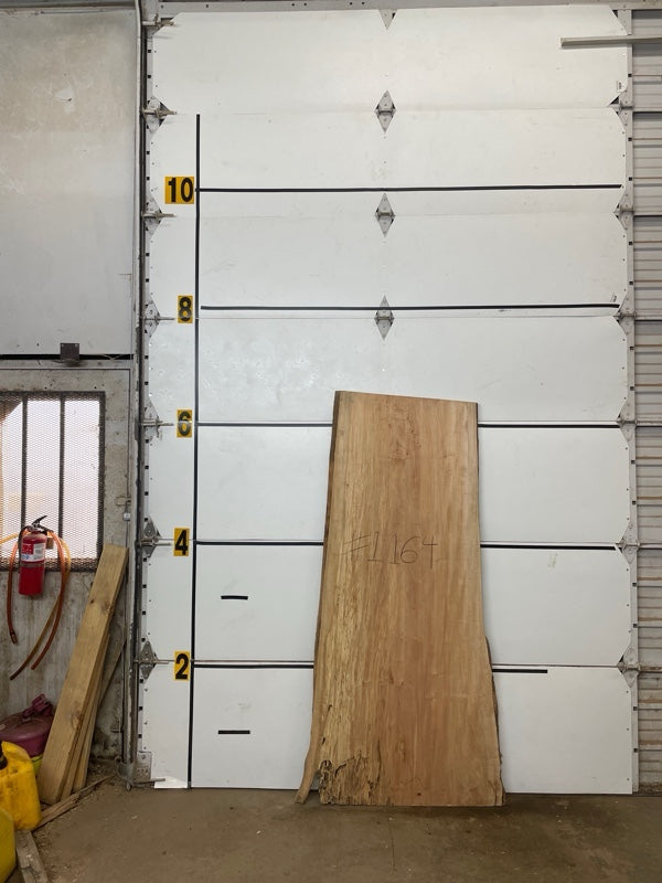 Maple Slab #1164