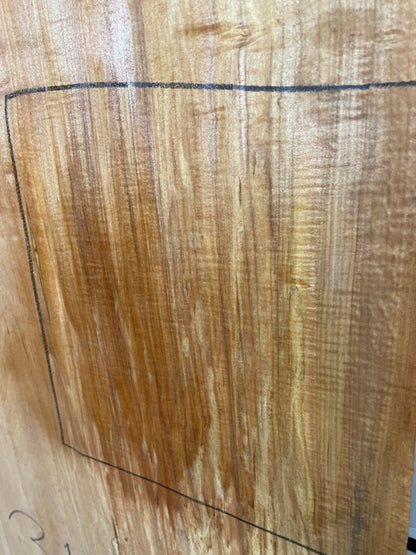 Maple Slab #1164