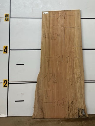 Maple Slab #1164