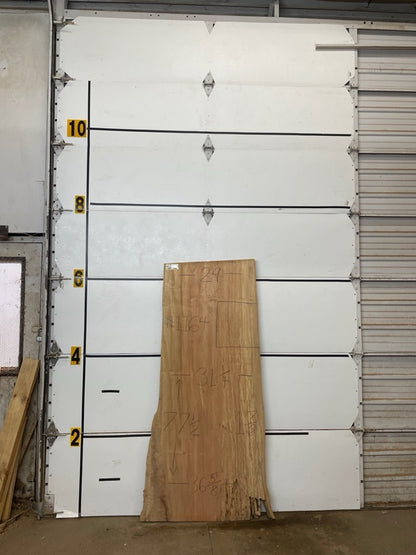 Maple Slab #1164