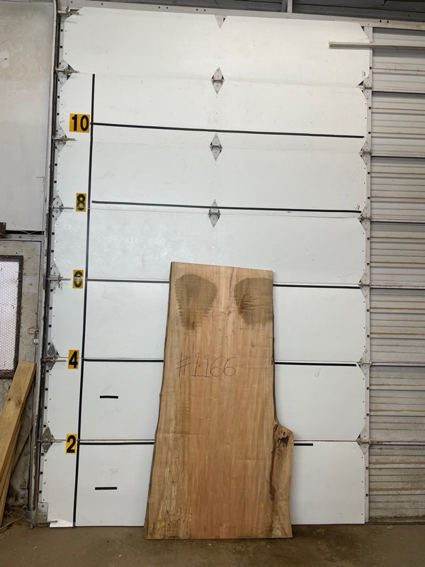 Maple Slab #1166