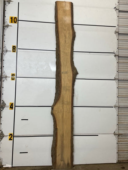 Hickory Slab #1201