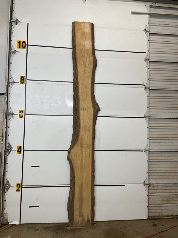 Hickory Slab #1201