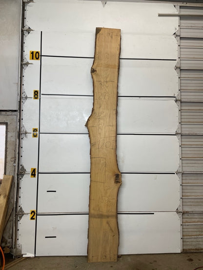 Hickory Slab #1201