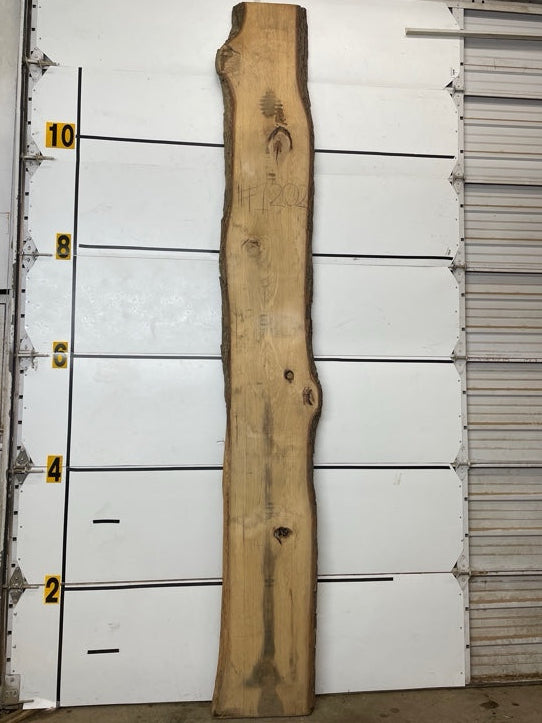Hickory Slab #1202