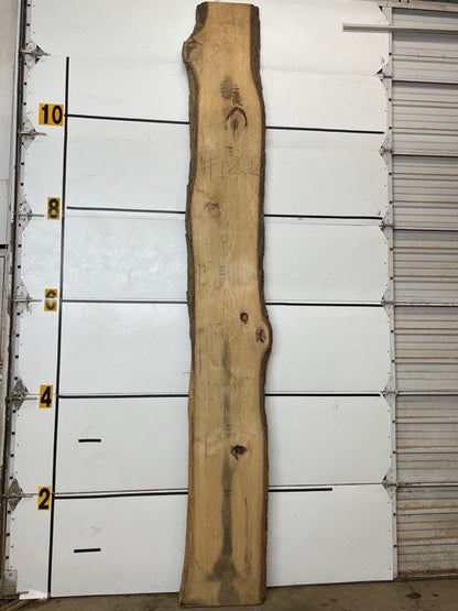 Hickory Slab #1202