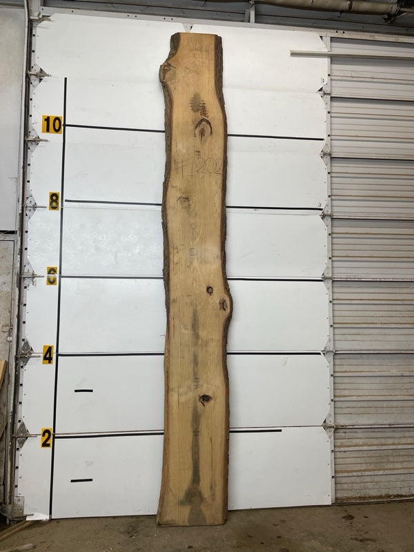 Hickory Slab #1202
