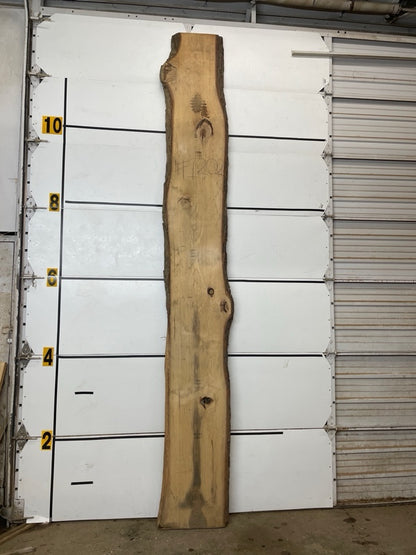 Hickory Slab #1202
