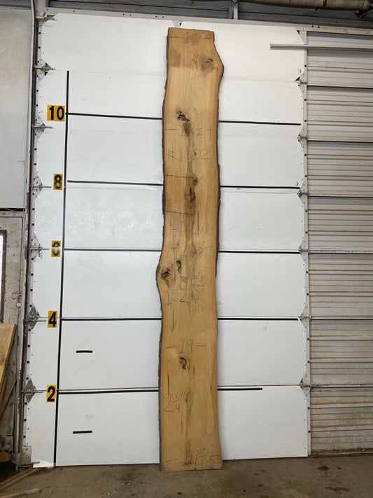 Hickory Slab #1202