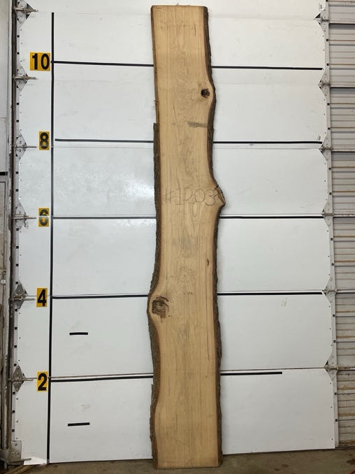 Hickory Slab #1203