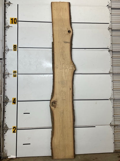 Hickory Slab #1203