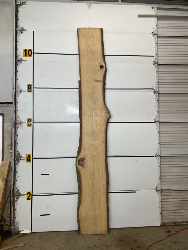Hickory Slab #1203