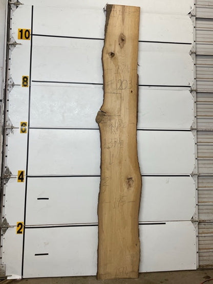 Hickory Slab #1203