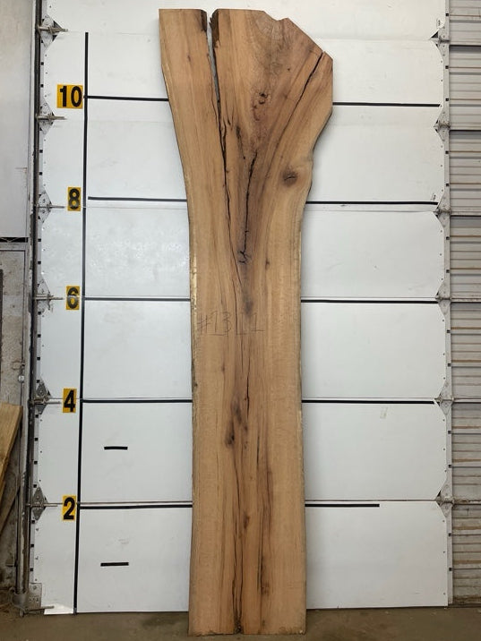 Red Oak Slab #1311