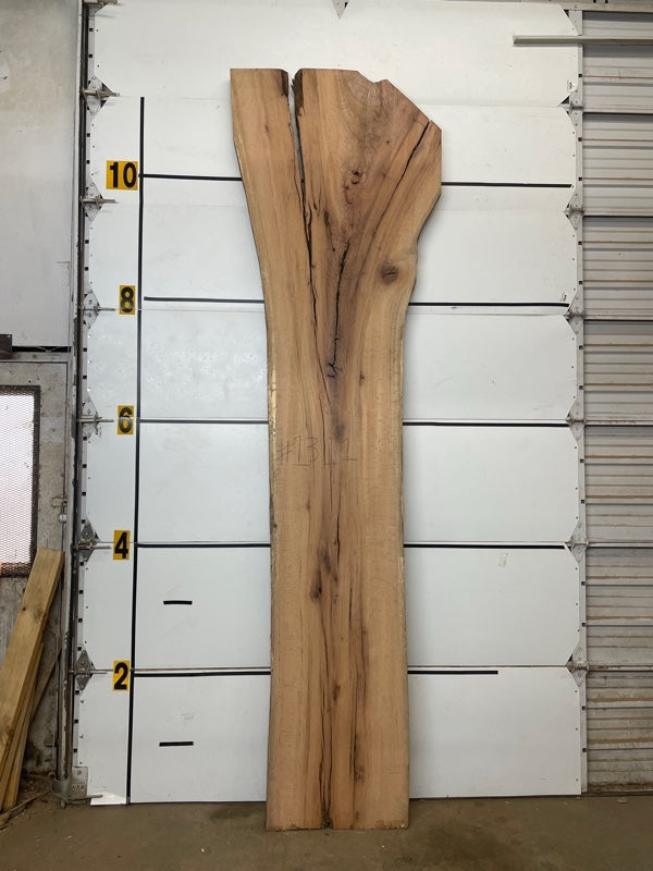 Red Oak Slab #1311