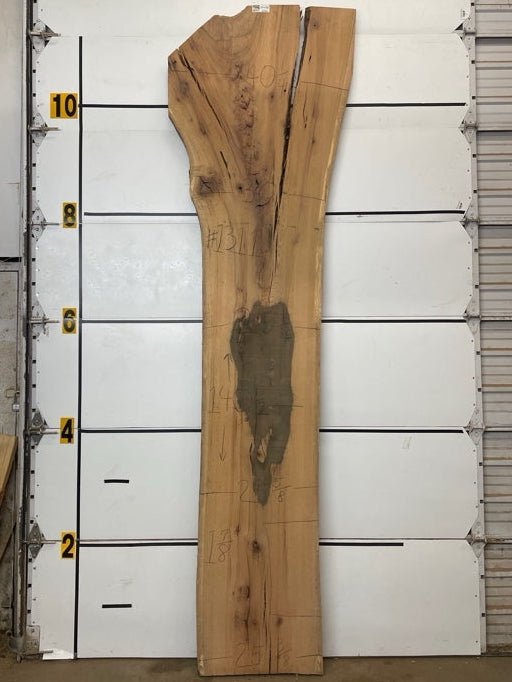 Red Oak Slab #1311