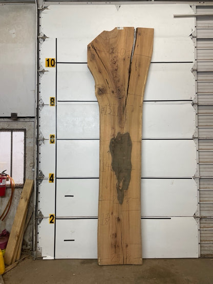 Red Oak Slab #1311