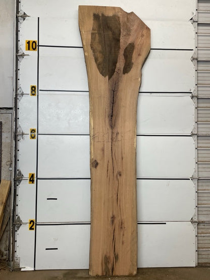Red Oak Slab #1312