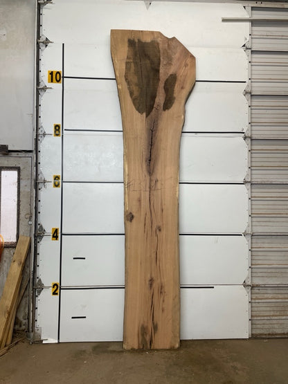 Red Oak Slab #1312
