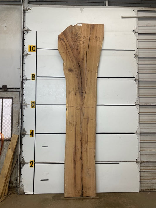Red Oak Slab #1312