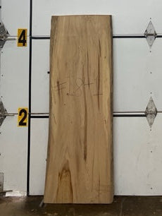 Elm Slab #1841
