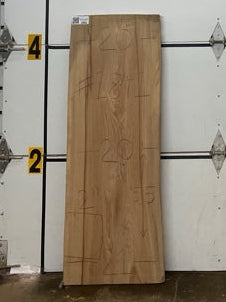 Elm Slab #1841