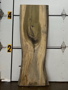 Cottonwood Slab #1855