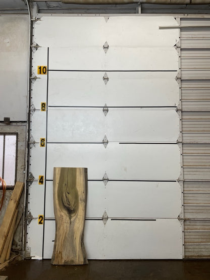 Cottonwood Slab #1855