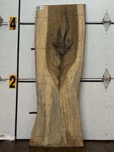 Cottonwood Slab #1855