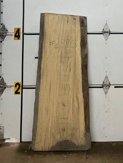 Blackgum Slab #2316