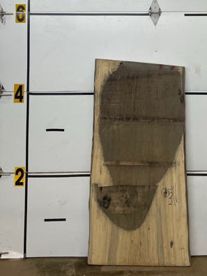 Blackgum Slab #2318