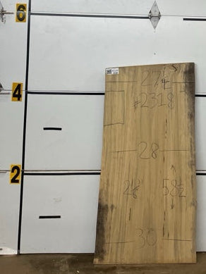 Blackgum Slab #2318