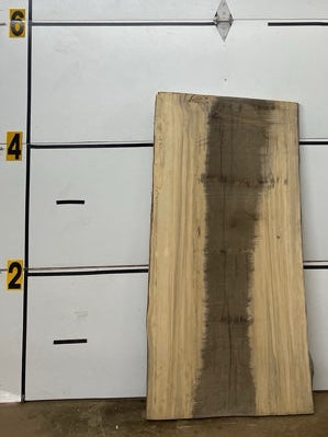 Blackgum Slab #2319