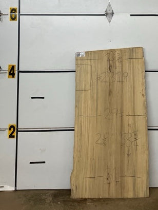 Blackgum Slab #2319