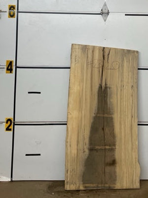 Blackgum Slab #2320