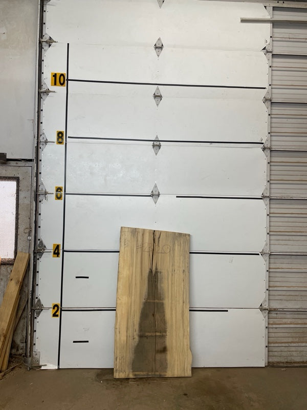 Blackgum Slab #2320