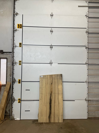 Blackgum Slab #2320