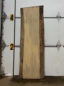 Blackgum Slab #2324